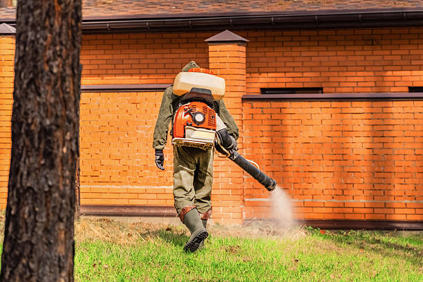 Trusted Termite Control service in Deenwood, GA - Nex Pest Control